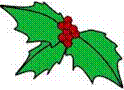 Xmas holly and berry