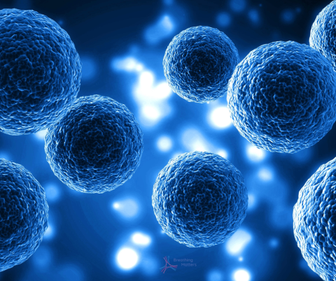 Stem cells and pulmonary fibrosis