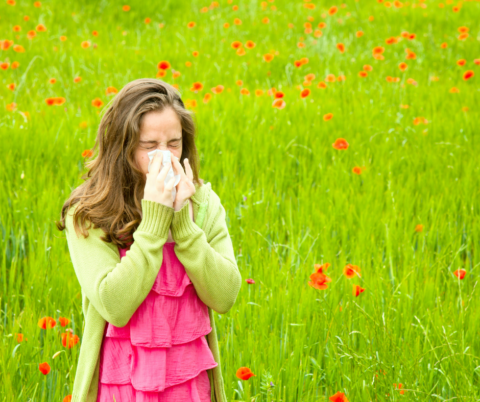 Understanding Hay Fever for Respiratory Patients